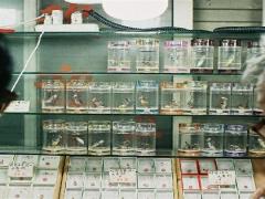 内心抗拒相亲，向往自由恋爱的星座