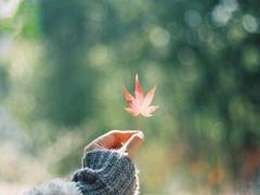 用情至深？哪些星座男生最容易被女生骗