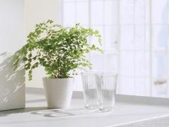 很会浪漫的星座男