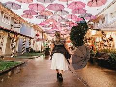 12星座大全是农历