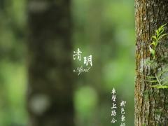 清明節生日的人好不好 農歷生日和清明節恰巧一天好嗎