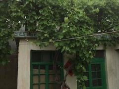 大门口种什么树好看又招财辟邪 大门种树有什么影响