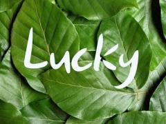 十月l日是什么星座