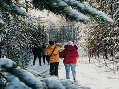 1979年11月15日出生是什么星座