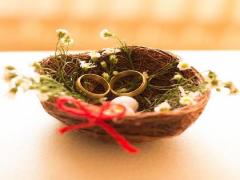 农年三月十八星座