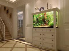 鱼养几条好旺财 鱼养几条最好风水学