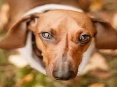 12日26号是什么星座