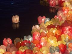 七月十四出生是鬼王投胎的吗 七月十四出生的人命运如何