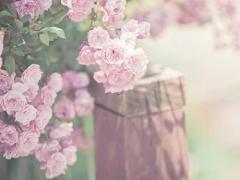 2000年阴历9月29是什么星座的