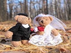 中国人数最多的星座