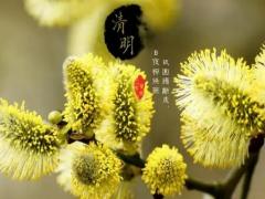 清明什么时候上坟好 清明上坟是上午还是下午