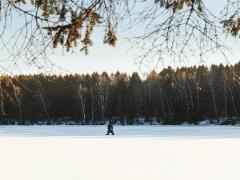 梦幻星座2中有哪些星座