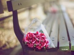 我二月26日是什么星座